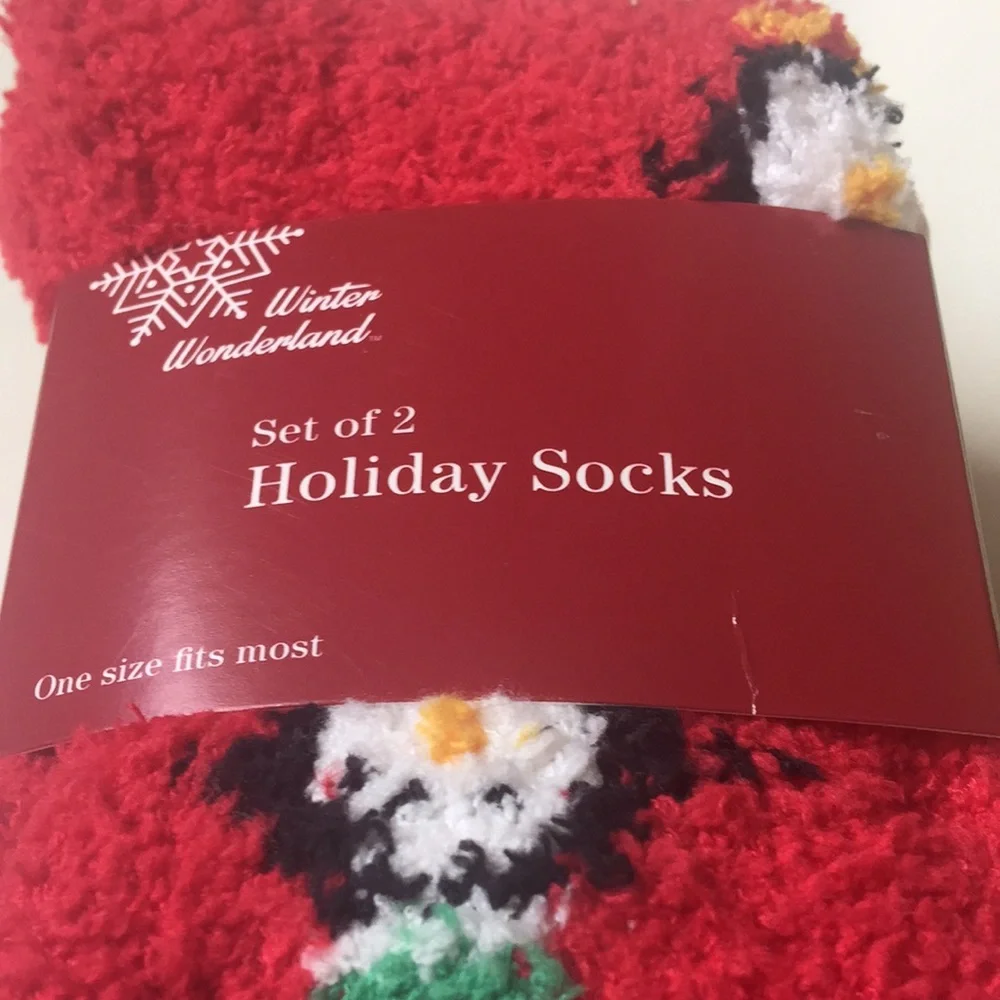WINTER WONDERLAND SET OF 2 HOLIDAY SOCKS